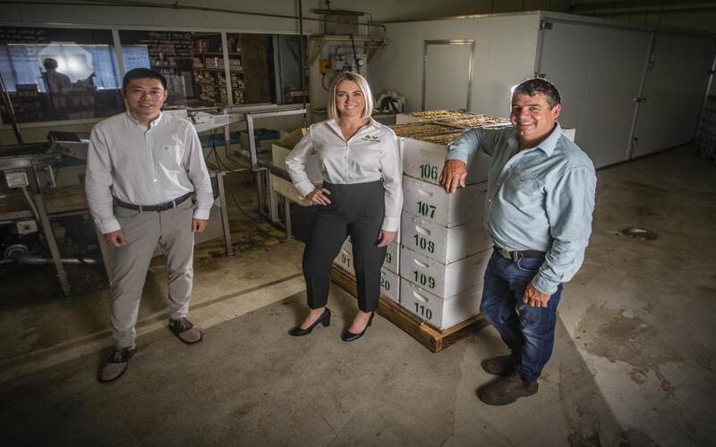  WA Startup Raises $1.5 Million To Make Honey Australia’s Next Big Export